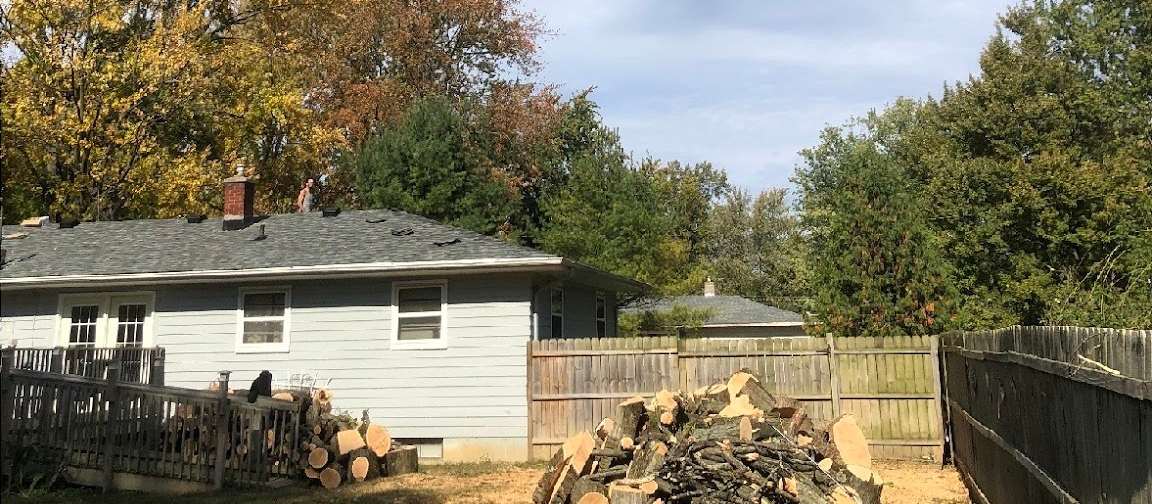 A back yard under open blue sky where a large tree once stood, with cut rounds of trunk stacked along the wooden fence beside a pale blue house.